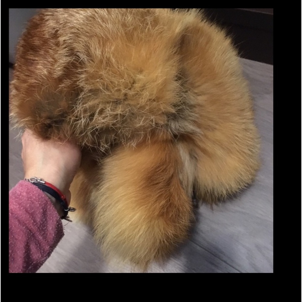 hat fox 🦊 never used. One size fits all.